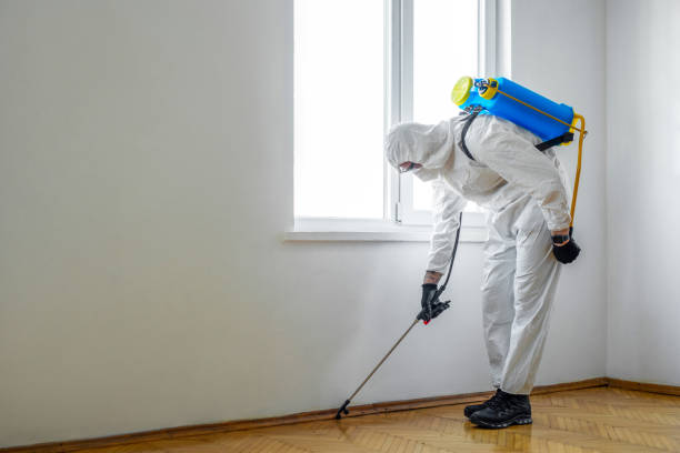 Best Mosquito Control Services  in Pine Knoll Shores, NC
