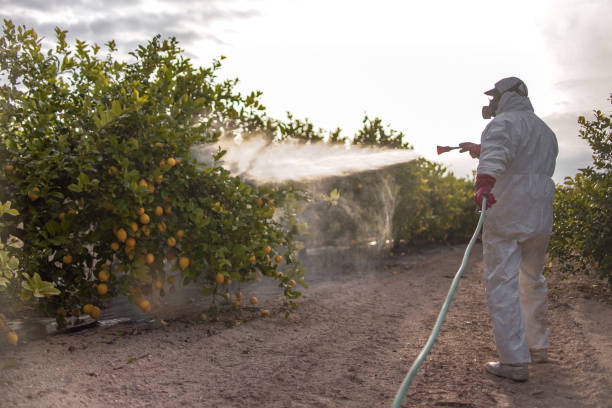 Best Pest Removal Services  in Pine Knoll Shores, NC