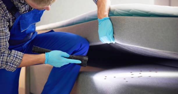 Best Bed Bug Extermination  in Pine Knoll Shores, NC