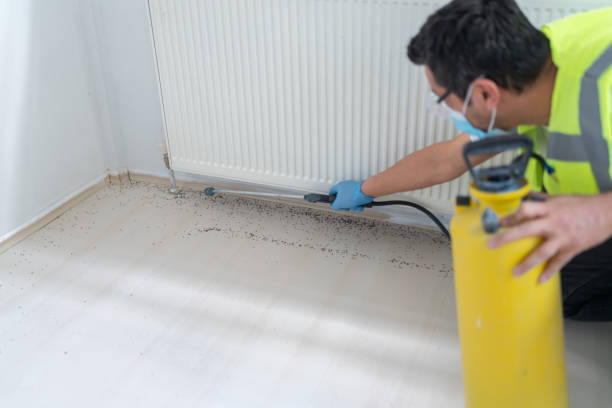 Best Exterminator Services  in Pine Knoll Shores, NC